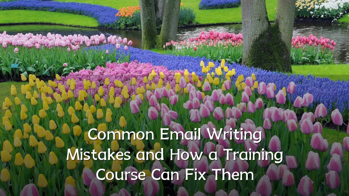 Common Email Writing Mistakes and How a Training Course Can Fix Them