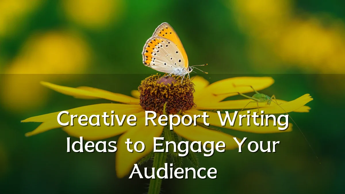 Creative Report Writing Ideas to Engage Your Audience