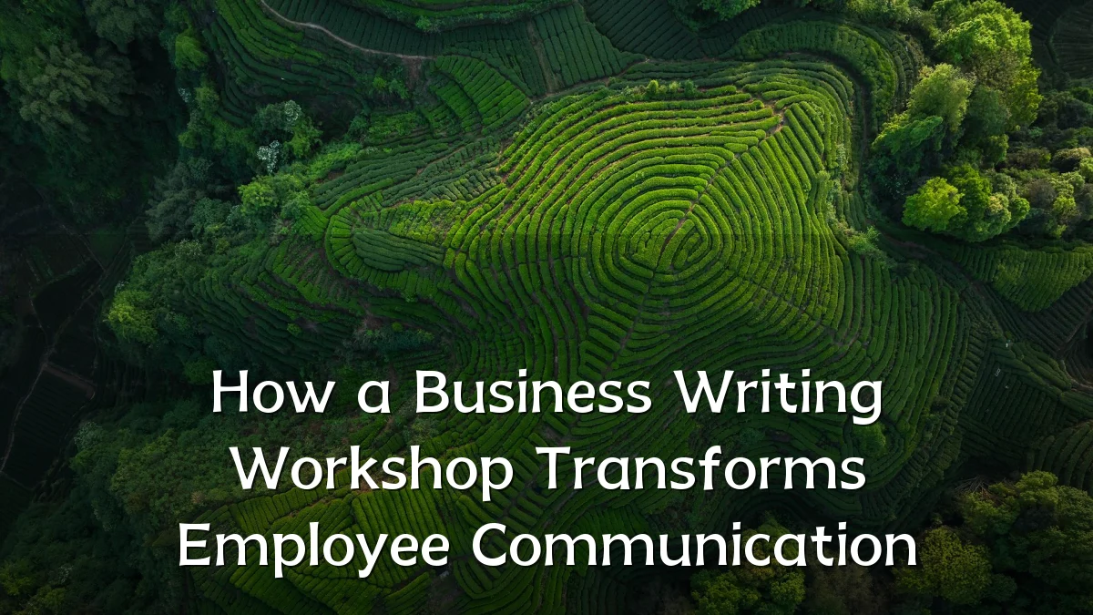 How a Business Writing Workshop Transforms Employee Communication