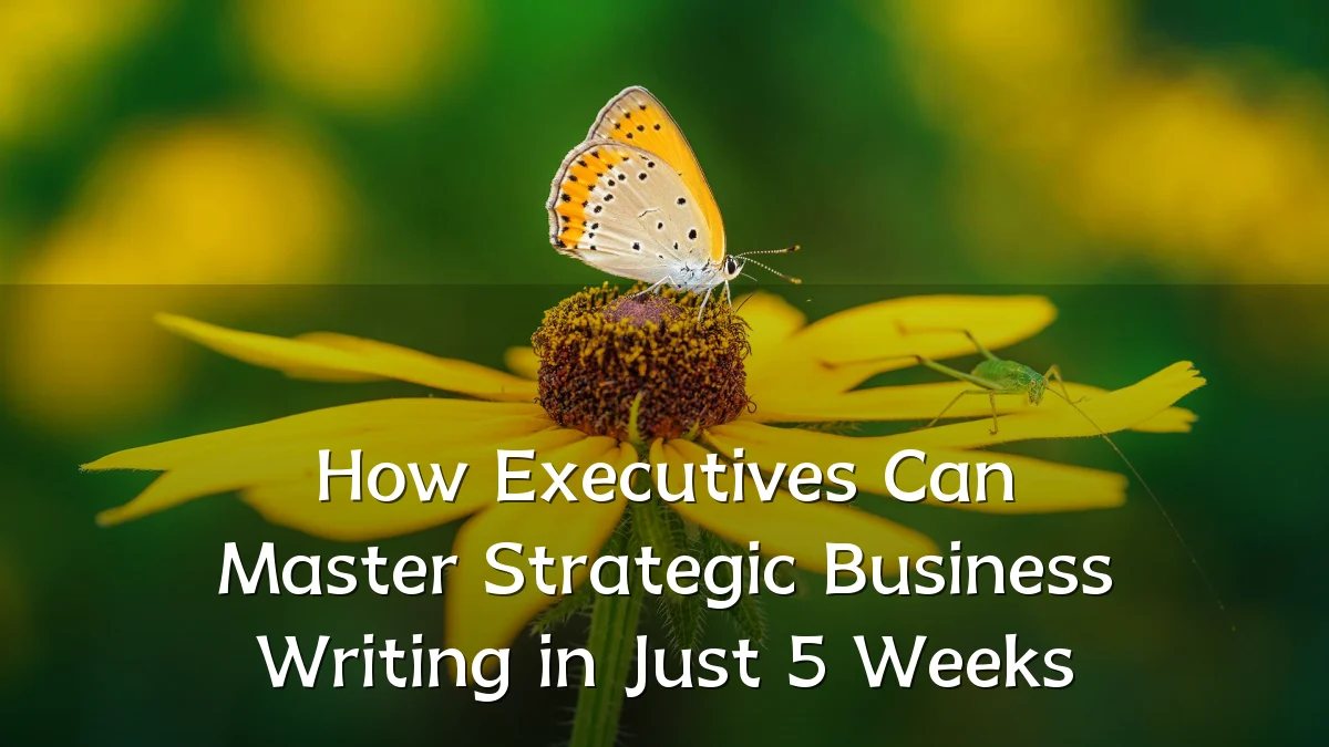 How Executives Can Master Strategic Business Writing in Just 5 Weeks
