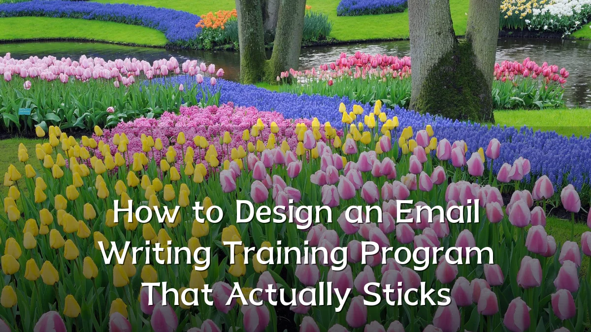 How to Design an Email Writing Training Program That Actually Sticks