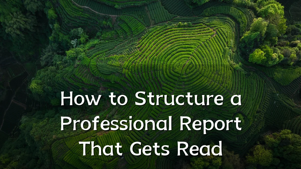 How to Structure a Professional Report That Gets Read