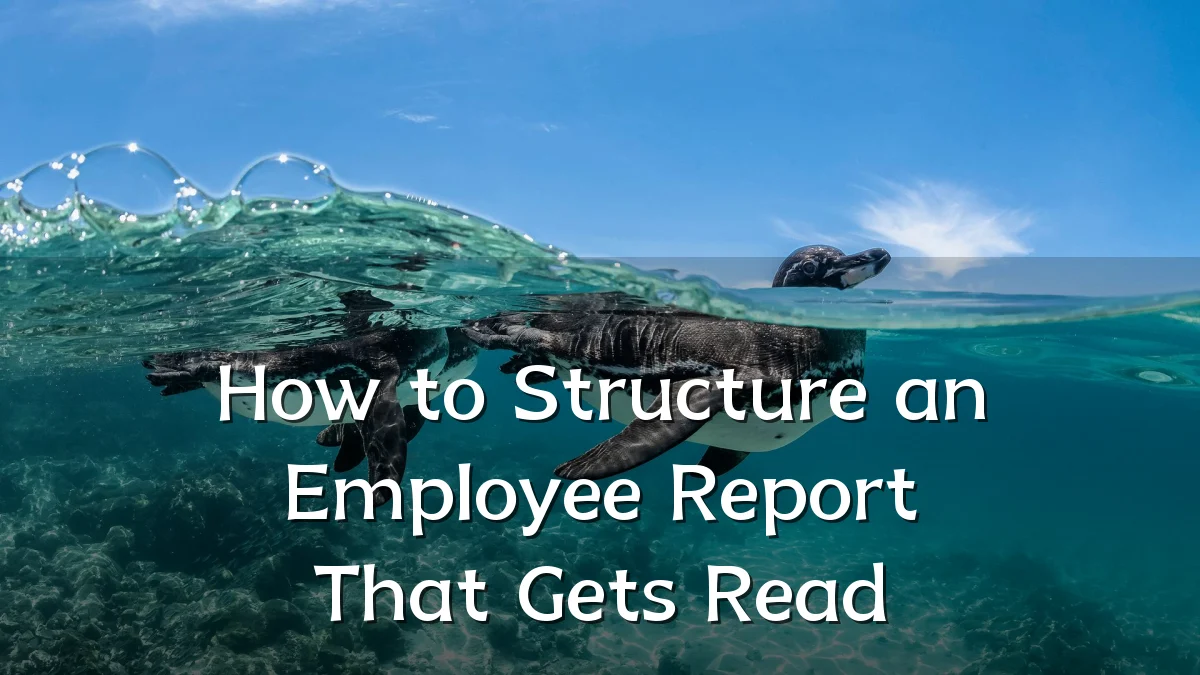 How to Structure an Employee Report That Gets Read