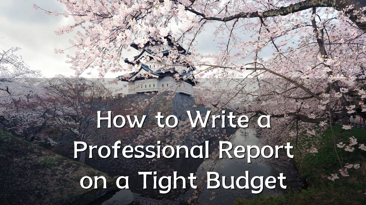 How to Write a Professional Report on a Tight Budget