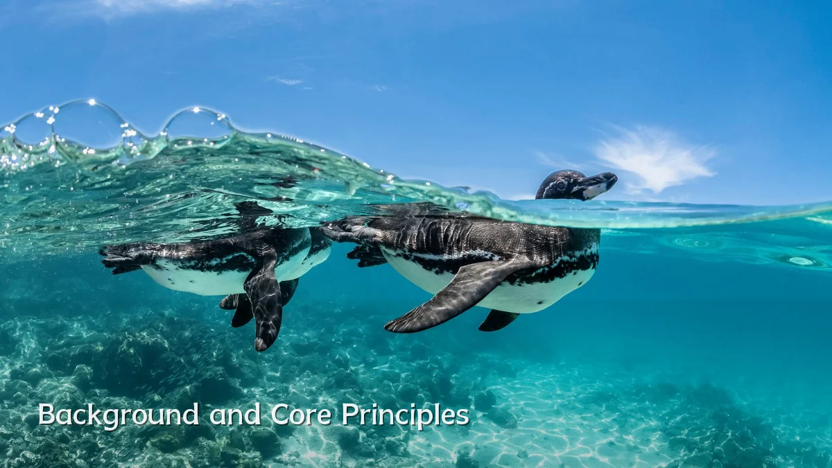 Background and Core Principles
