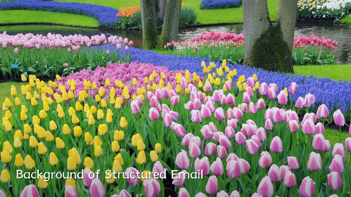 Background of Structured Email