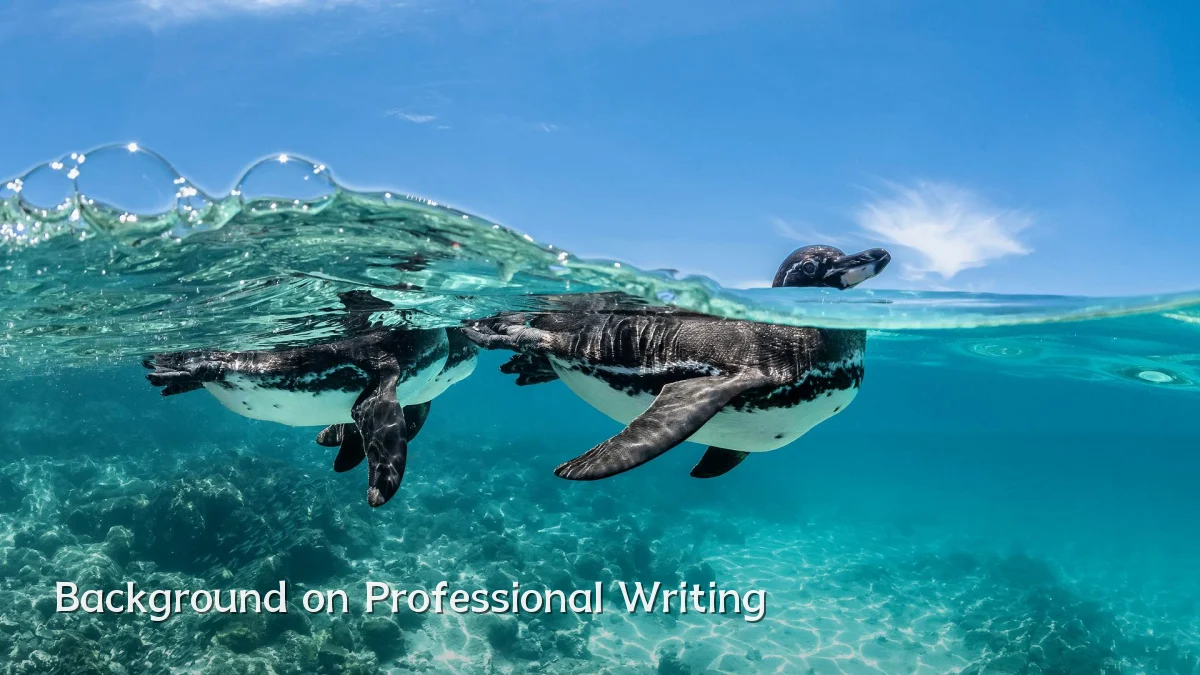 Background on Professional Writing