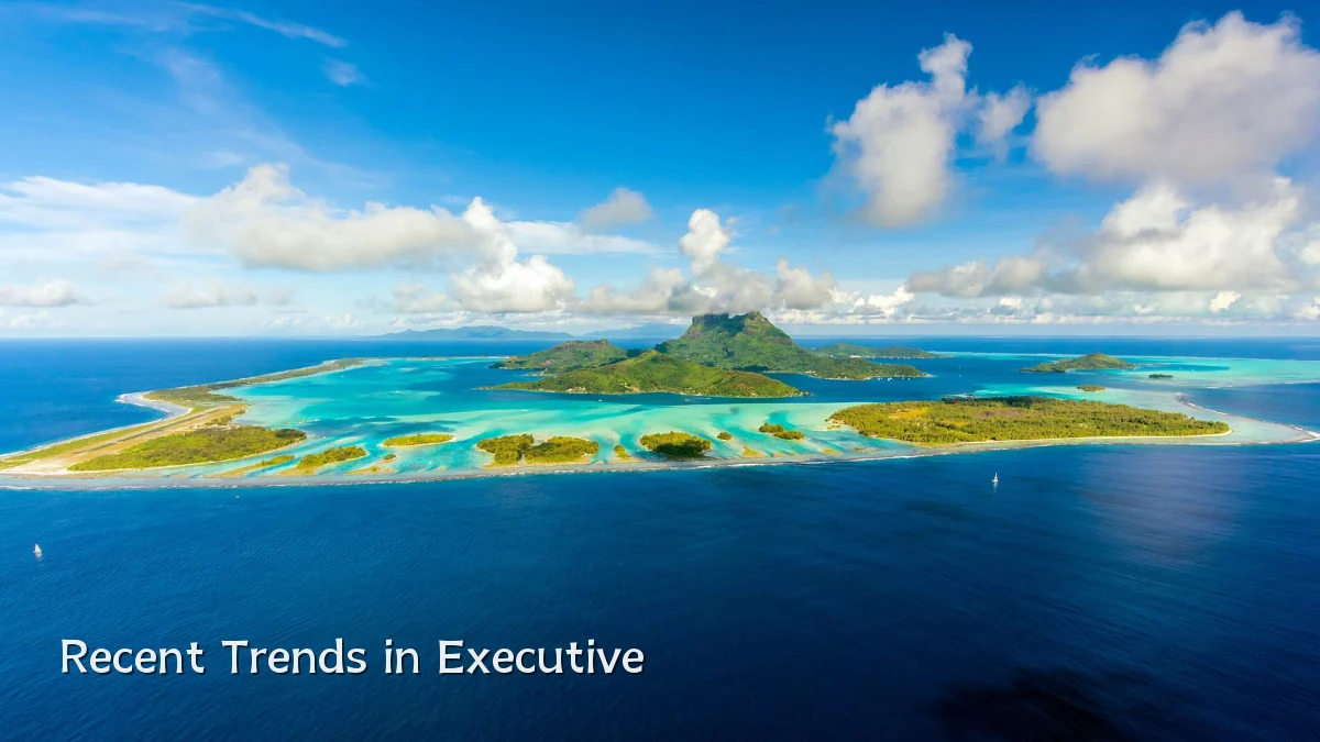 Recent Trends in Executive