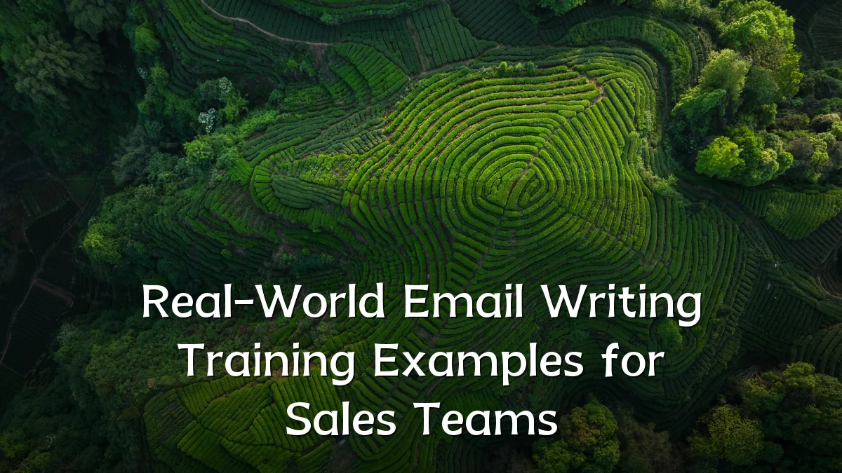 Real-World Email Writing Training Examples for Sales Teams