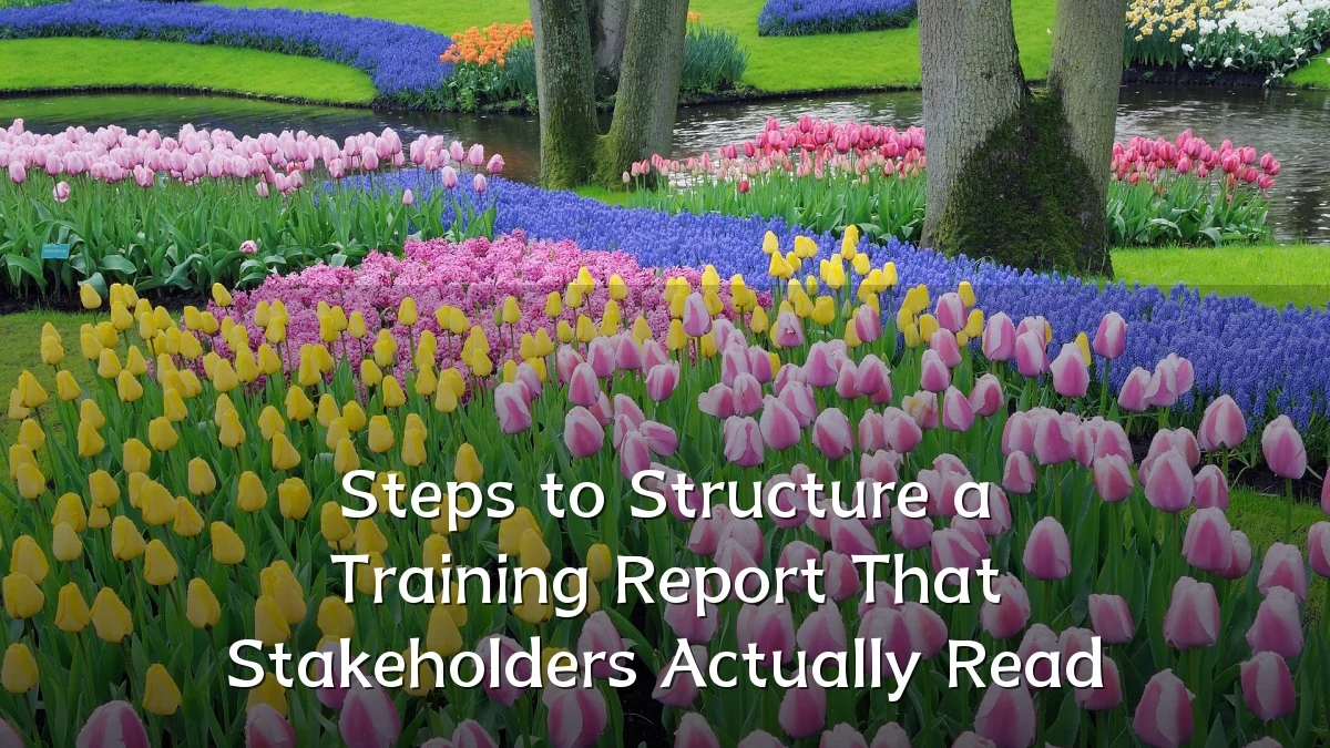 Steps to Structure a Training Report That Stakeholders Actually Read