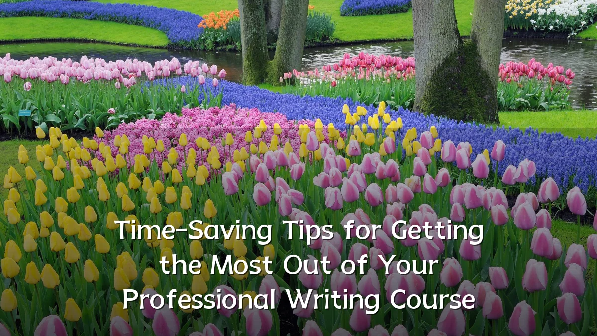 Time-Saving Tips for Getting the Most Out of Your Professional Writing Course