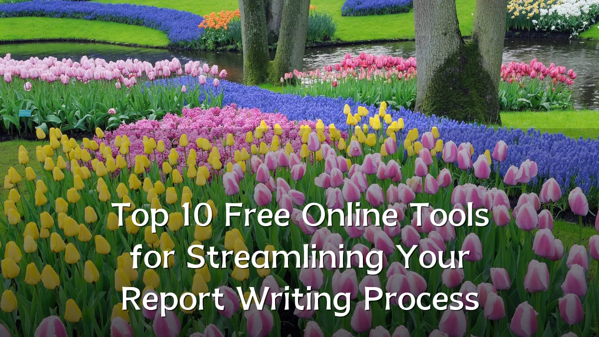 Top 10 Free Online Tools for Streamlining Your Report Writing Process