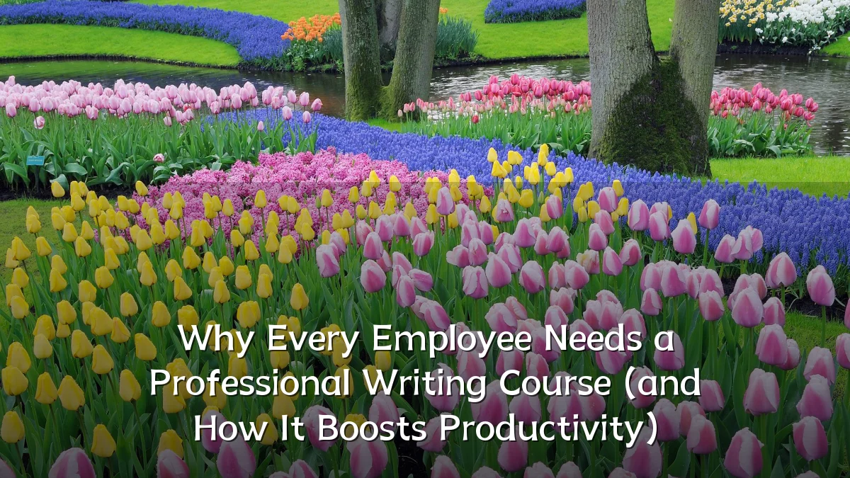 Why Every Employee Needs a Professional Writing Course (and How It Boosts Productivity)
