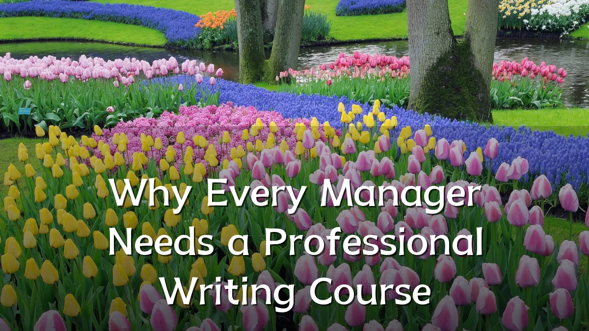 Why Every Manager Needs a Professional Writing Course