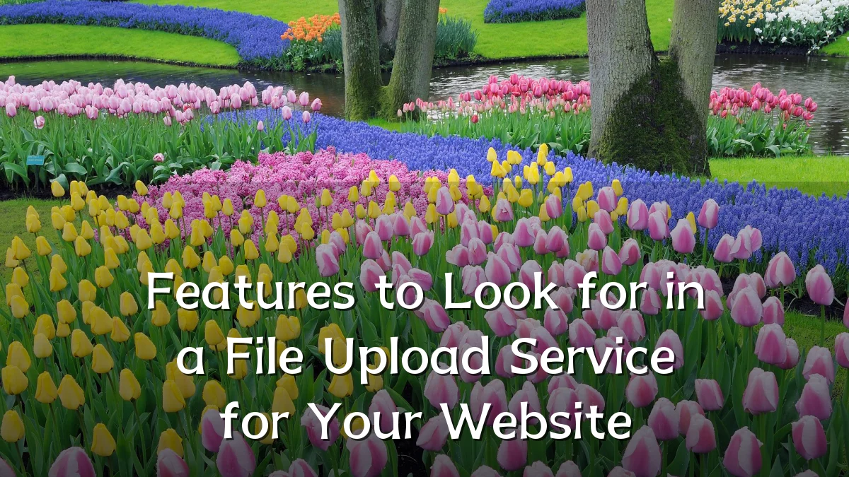 Features to Look for in a File Upload Service for Your Website