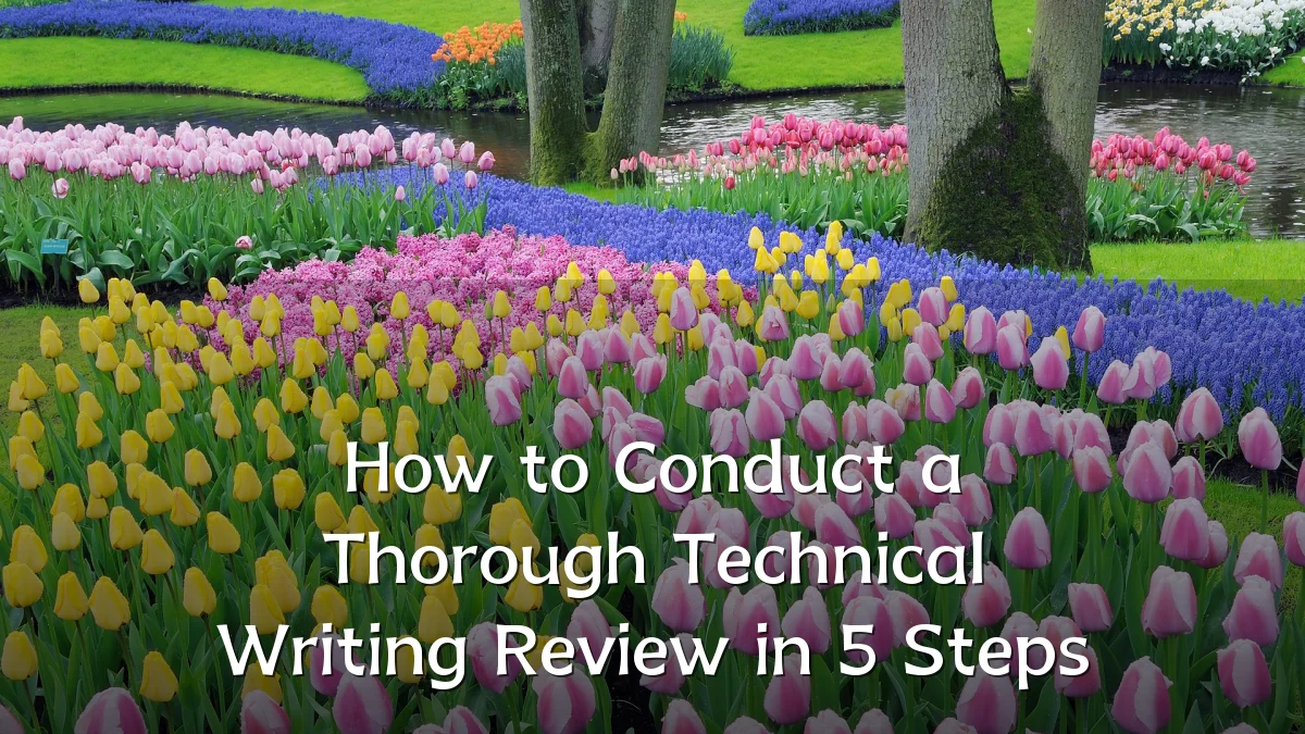 How to Conduct a Thorough Technical Writing Review in 5 Steps