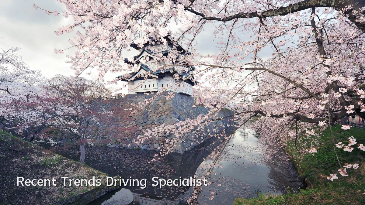 Recent Trends Driving Specialist