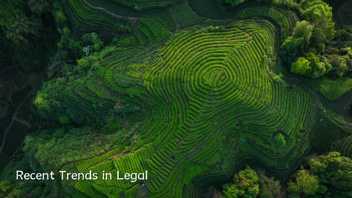 Recent Trends in Legal