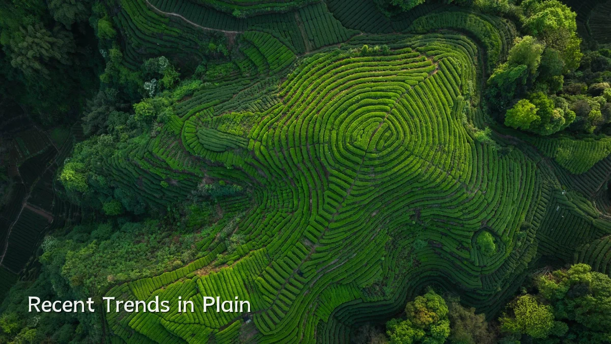 Recent Trends in Plain