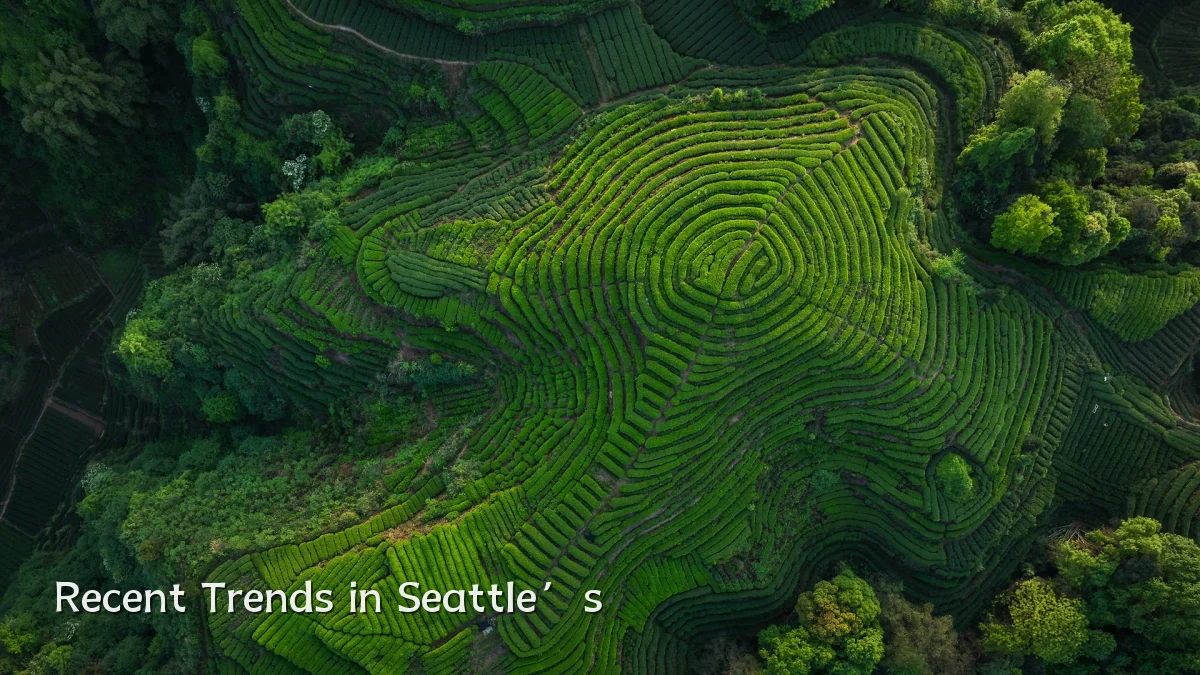 Recent Trends in Seattle’s