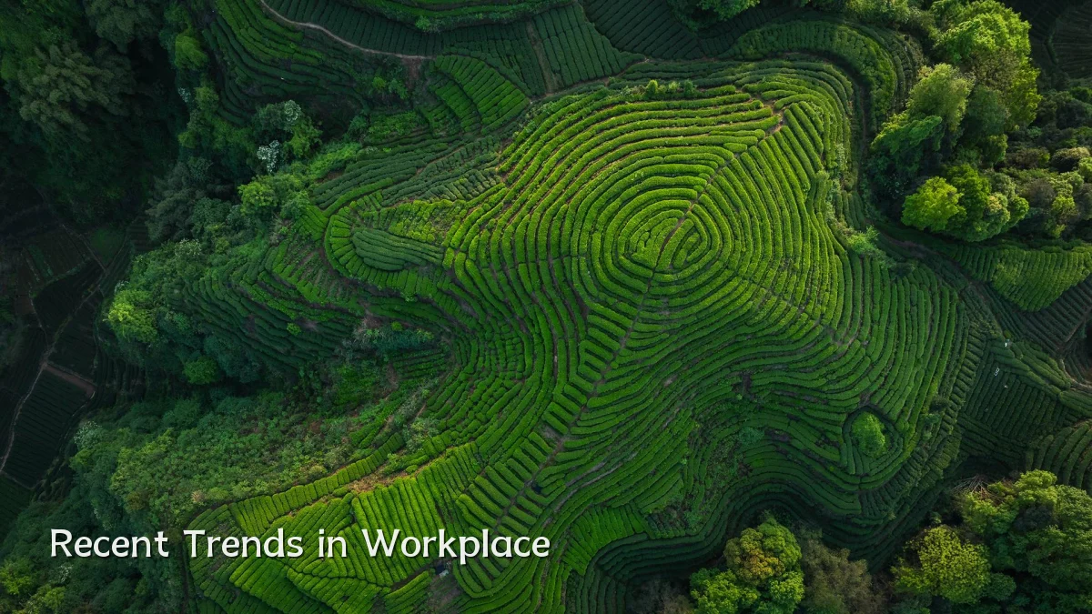 Recent Trends in Workplace