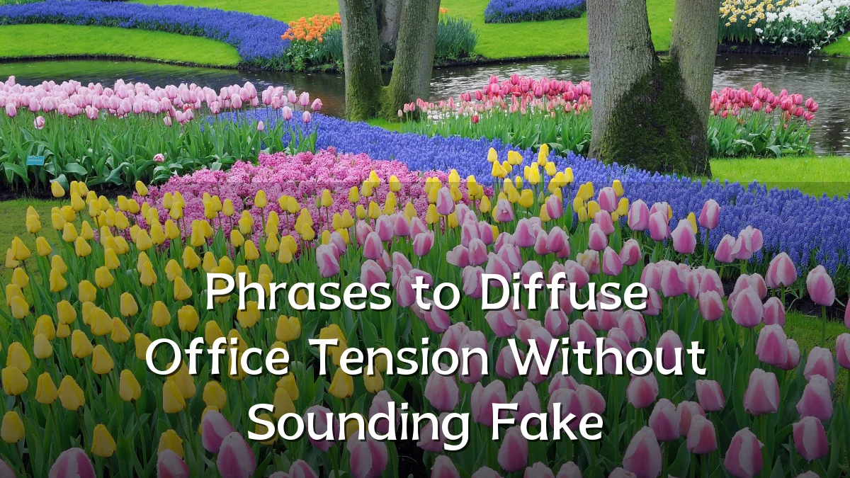 Phrases to Diffuse Office Tension Without Sounding Fake