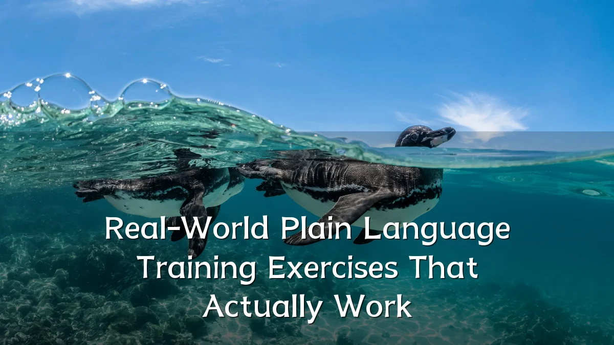 Real-World Plain Language Training Exercises That Actually Work
