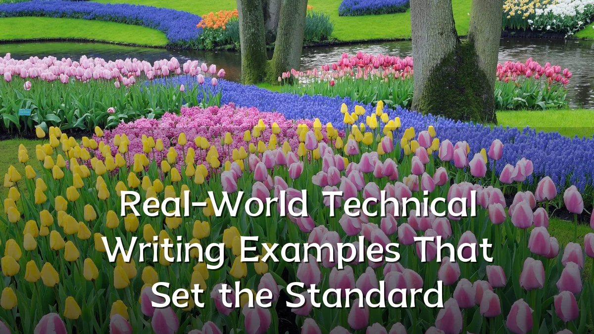 Real-World Technical Writing Examples That Set the Standard